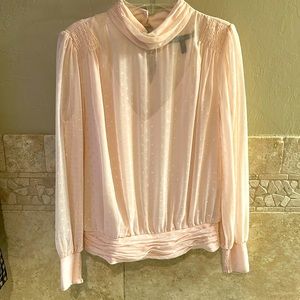 Shimmery pink sheer WHBM blouse